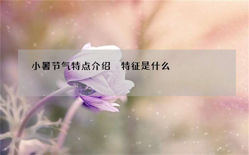 小暑节气特点介绍 特征是什么